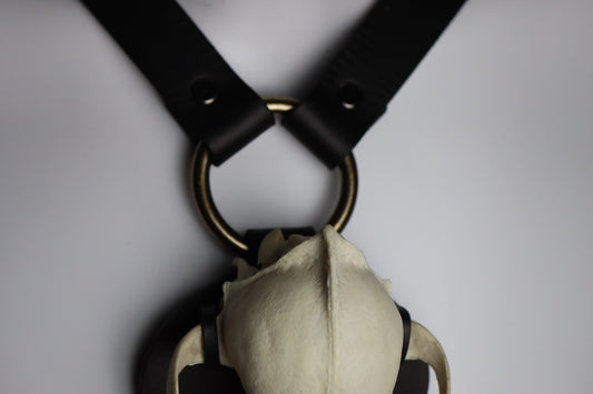 A closeup of the o-ring positioned over the skull, where the black leather harness branches into over the shoulder straps. 