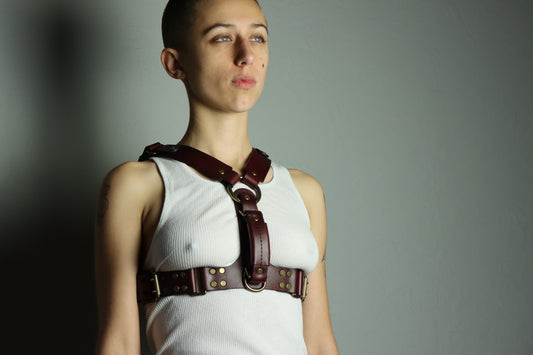 The Oliver Harness