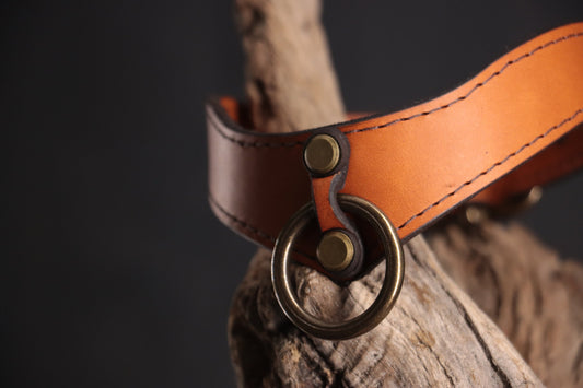 Leather BDSM Collar - Cognac & Bronze