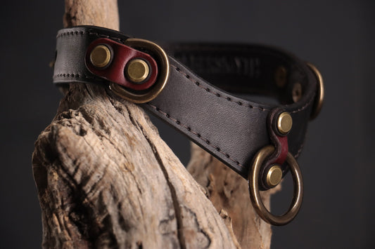 Leather BDSM Collar - Black & Oxblood Leather