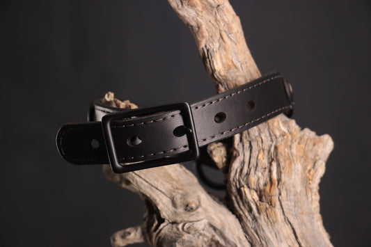 Leather BDSM Collar - Black on Black