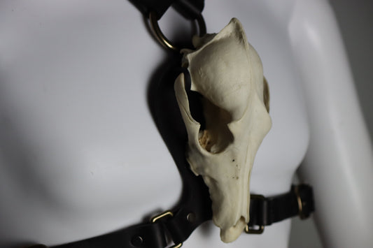 A closeup of the skull mounted to the bdsm black leather harness. 