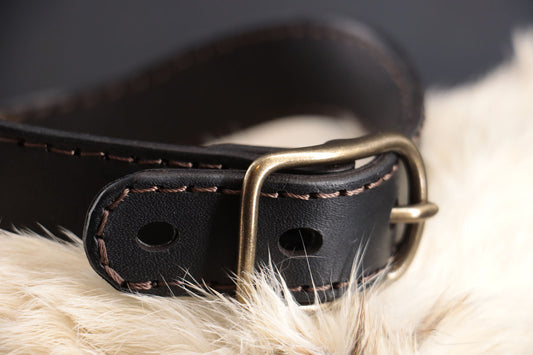 a closeup of the brass buckle on a DIY collar, showing the hand stitched leather.