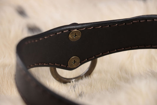 a closeup of the brass rivets on this diy leather collar.