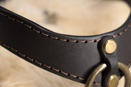 a closeup of the hand stitched detailing on the DIY leather collar. 
