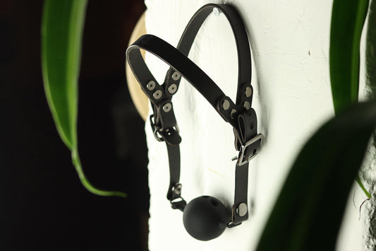 A black leather head harness ball gag rests on a white surface. On the top, the two leather straps that cup the wearer's head are visible. On the bottom, a silicone ball gag that snaps into place. There's a gunmetal buckle on each side. Plant leaves are blurred in the foreground framing the black leather gag.