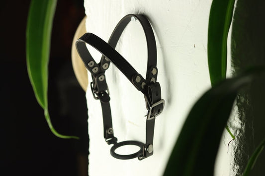 A black leather head harness with black hardware sits on a grey cloth. A black silicone ring gag is fitted into the harness. The back has two straps coming out from the over-ear buckle at a roughly 45 degree angle, so the harness cradles the wearers head at the base of the skull and higher up on the wearer's head.